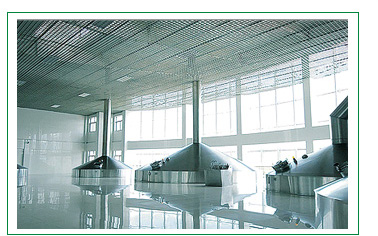 龍山泉精釀啤酒 龍山泉精釀啤酒