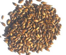 焦香麥芽 焦香麥芽